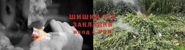 mdpv Вяземский
