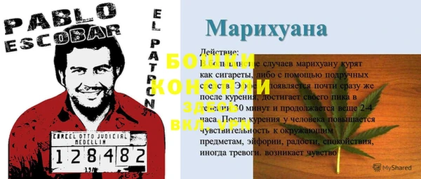 mdpv Вяземский