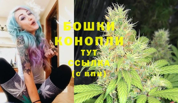 mdpv Вяземский